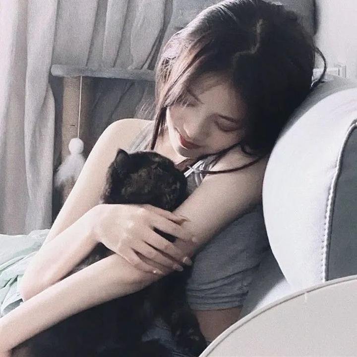 林肯律师第一季